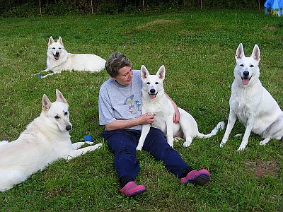 kaufen Weiße Schäferhunde Welpen und Preis Weißer Schäferhund