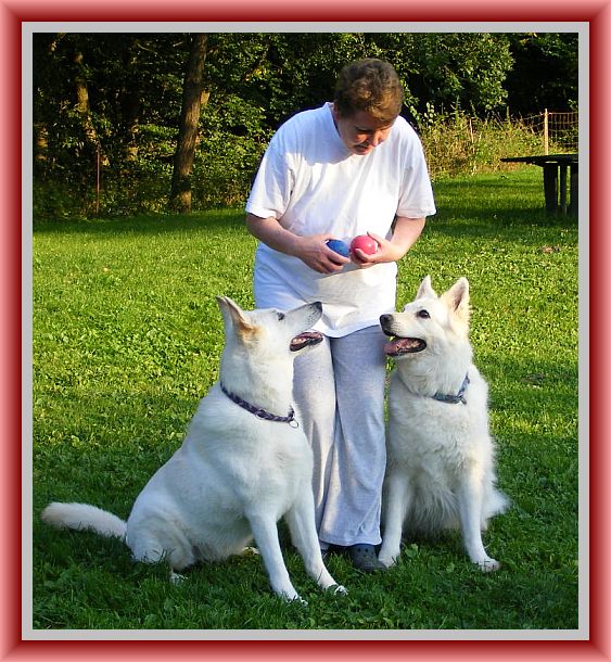 Mutter und Tochter vorbildliches Sitz - Weiße Schäferhunde mit Futtergeber