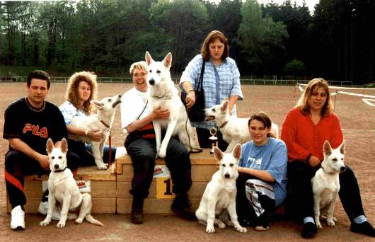 Weiße Schäferhund Zuchtgruppe