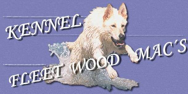 Weiße Schäferhunde - Fleet Wood Mac´s 